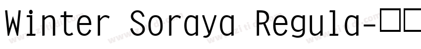 Winter Soraya Regula字体转换